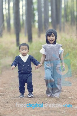 Asian Little Cute Brother Of Boy And Girl Hand In Hand Walking In Pine Forest With Happiness Smiling Face Stock Photo