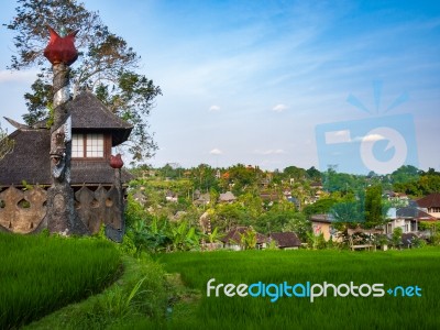 Asian Style House In A Rice Field In Bali Stock Photo