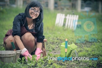 Asian Woman Planting In Home Garden Stock Photo