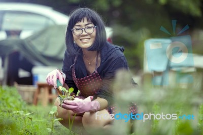 Asian Woman Relaxing Happiness Emotion Planting Organic Vegetable In Home Garden Stock Photo