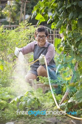 Asian Woman Relaxing Water Pouring In Home Vegetable Garden Stock Photo