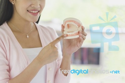 Asian Woman Showing Tooth Model Stock Photo