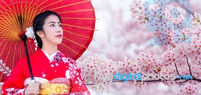 Asian Woman Wearing Japanese Traditional Kimono And Cherry Blossom In Spring, Japan Stock Photo