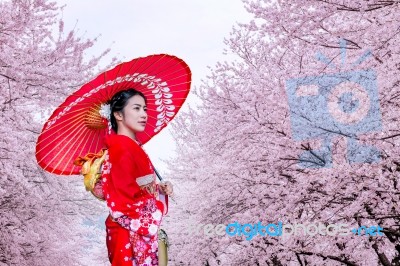 Asian Woman Wearing Japanese Traditional Kimono And Cherry Blossom In Spring, Japan Stock Photo