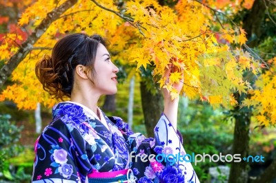 Asian Woman Wearing Japanese Traditional Kimono In Autumn Park. Japan Stock Photo