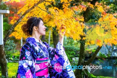 Asian Woman Wearing Japanese Traditional Kimono In Autumn Park. Japan Stock Photo