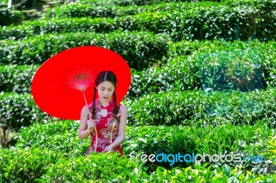 Asian Woman Wearing Traditional Chinese Dress And Red Umbrella In Green Tea Field Stock Photo