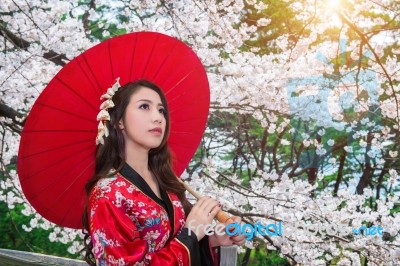 Asian Woman Wearing Traditional Japanese Kimono With Red Umbrella And Cherry Blossom Stock Photo