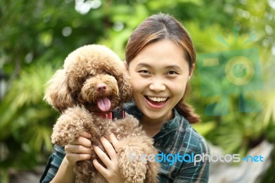 Asian Women Hug With Poodle Dog Stock Photo