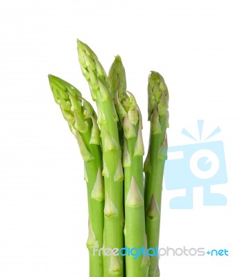 Asparagus Isolated On The White Background Stock Photo