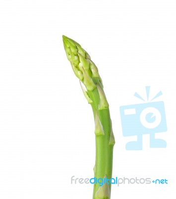 Asparagus Isolated On The White Background Stock Photo