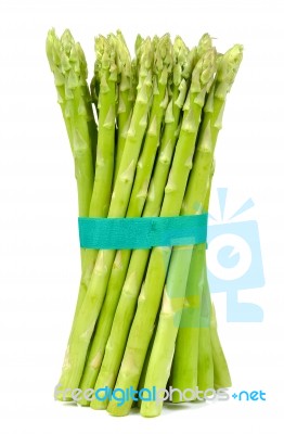 Asparagus Isolated On The White Background Stock Photo