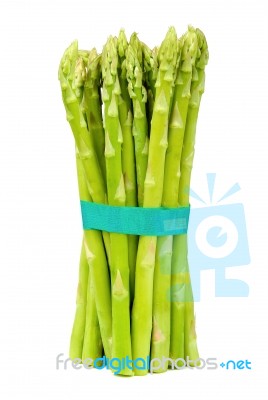 Asparagus Isolated On The White Background Stock Photo