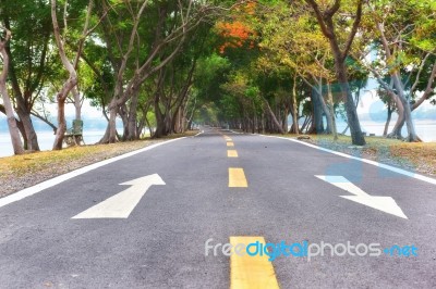 Asphalt Road With Natural Tree Tunnel And White Arrow Sign Marking On Road Stock Photo