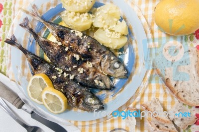 Atlantic Horse Mackerel Meal Stock Photo