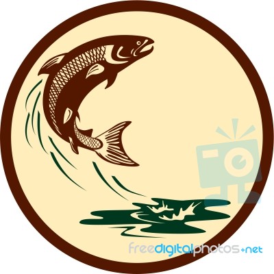 Atlantic Salmon Fish Jumping Water Retro Stock Image