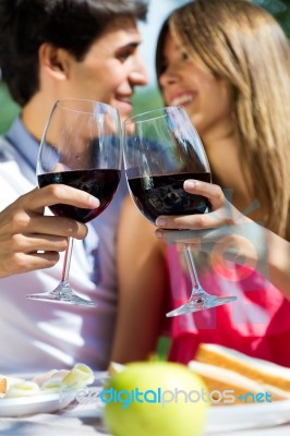 Attractive Couple Drinking Wine On Romantic Picnic In Countrysid… Stock Photo