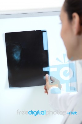 Attractive Young Female Doctor Examining X-ray Results Stock Photo