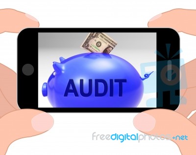 Audit Piggy Bank Displays Auditing Inspecting And Finances Stock Image