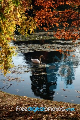 Autumn Stock Photo