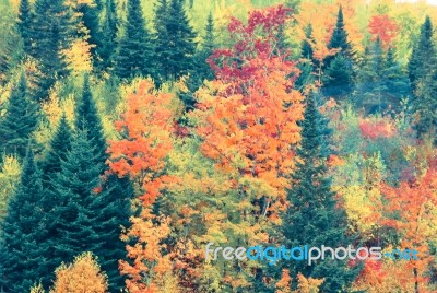 Autumn Stock Photo