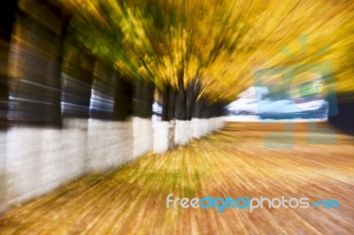 Autumn Alley Abstraction Stock Photo