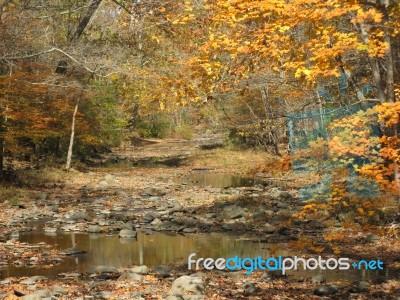 Autumn Bucks County Tincum Creek Stock Photo