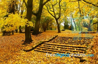 Autumn Cityscape Stock Photo