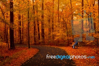 Autumn Colors Stock Photo