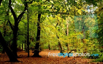 Autumn Colors Stock Photo