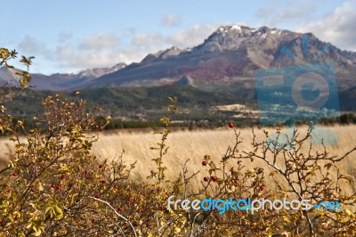 Autumn Colors In El Boliche, Bariloche, Patagonia, Argentina Stock Photo