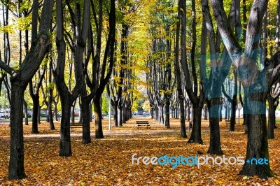 Autumn Colours In Parco Di Monza Italy Stock Photo