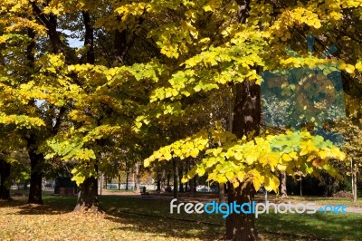 Autumn Colours In Parco Di Monza Italy Stock Photo