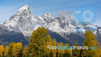 Autumn Colours In The Grand Teton National Park Stock Photo