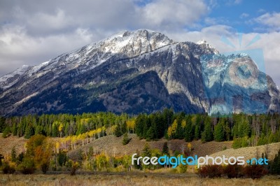 Autumn Colours In Wyoming Stock Photo