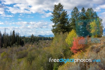 Autumn Colours In Wyoming Stock Photo