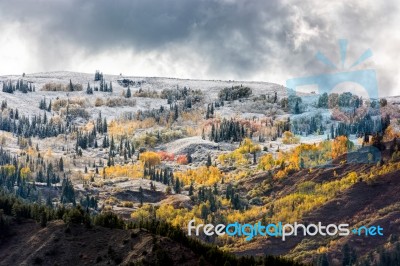 Autumn Colours In Wyoming Stock Photo