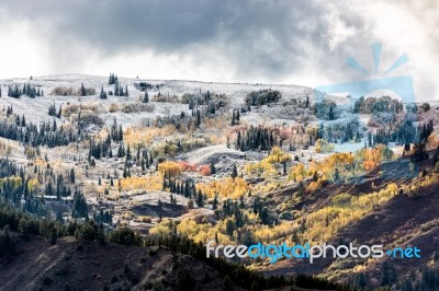 Autumn Colours In Wyoming Stock Photo