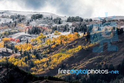 Autumn Colours In Wyoming Stock Photo