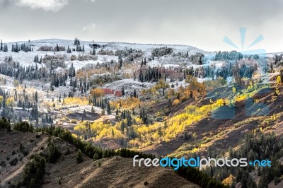 Autumn Colours In Wyoming Stock Photo