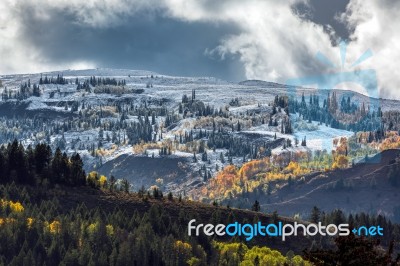 Autumn Colours In Wyoming Stock Photo