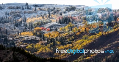 Autumn Colours In Wyoming Stock Photo