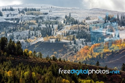 Autumn Colours In Wyoming Stock Photo