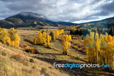 Autumn Colours In Wyoming Stock Photo