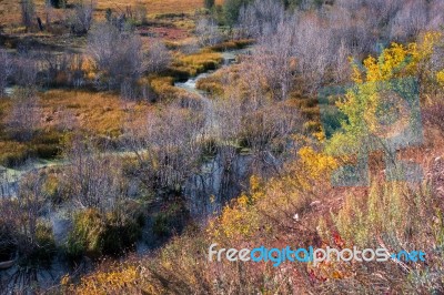 Autumn Colours In Wyoming Stock Photo