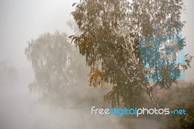 Autumn Foggy Morning. Dawn On The Misty River Stock Photo