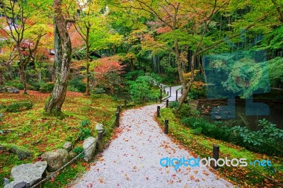 Autumn Garden And Pond At Enkoji Temple Stock Photo