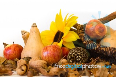 Autumn Harvest Composition With Pumpkins And Apples Stock Photo