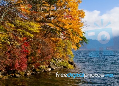 Autumn In Japan Stock Photo