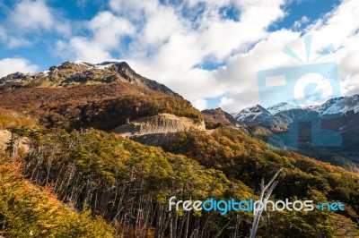 Autumn In Patagonia. Cordillera Darwin, Part Of Andes Range, Isl… Stock Photo